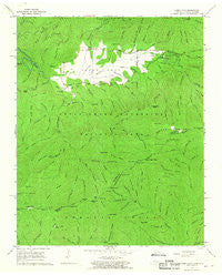 Cades Cove Tennessee Historical topographic map, 1:24000 scale, 7.5 X 7.5 Minute, Year 1964
