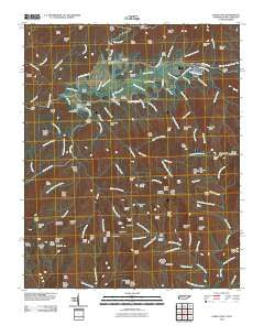 Cades Cove Tennessee Historical topographic map, 1:24000 scale, 7.5 X 7.5 Minute, Year 2010