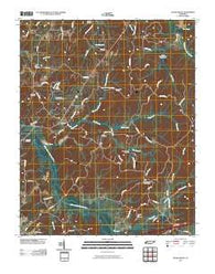 Cedar Grove Tennessee Historical topographic map, 1:24000 scale, 7.5 X 7.5 Minute, Year 2010