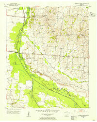 Chestnut Bluff Tennessee Historical topographic map, 1:24000 scale, 7.5 X 7.5 Minute, Year 1952