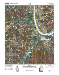 Counce Tennessee Historical topographic map, 1:24000 scale, 7.5 X 7.5 Minute, Year 2010