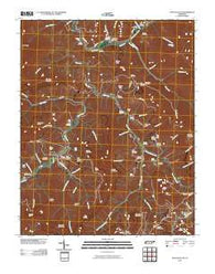Duncan Flats Tennessee Historical topographic map, 1:24000 scale, 7.5 X 7.5 Minute, Year 2010
