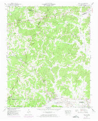 Enville Tennessee Historical topographic map, 1:24000 scale, 7.5 X 7.5 Minute, Year 1950
