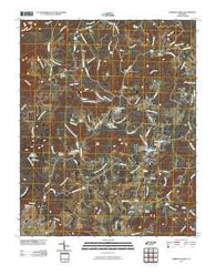 Herbert Domain Tennessee Historical topographic map, 1:24000 scale, 7.5 X 7.5 Minute, Year 2010