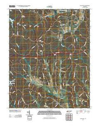 Holladay Tennessee Historical topographic map, 1:24000 scale, 7.5 X 7.5 Minute, Year 2010
