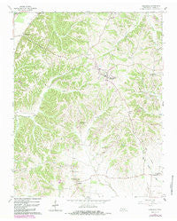 Hornbeak Tennessee Historical topographic map, 1:24000 scale, 7.5 X 7.5 Minute, Year 1964