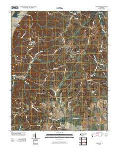 Hornbeak Tennessee Historical topographic map, 1:24000 scale, 7.5 X 7.5 Minute, Year 2010
