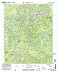 Iron Mountain Gap Tennessee Historical topographic map, 1:24000 scale, 7.5 X 7.5 Minute, Year 2003