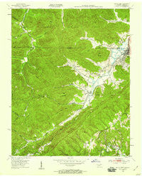 Jellico West Tennessee Historical topographic map, 1:24000 scale, 7.5 X 7.5 Minute, Year 1953