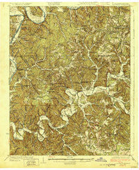 Lillydale Tennessee Historical topographic map, 1:62500 scale, 15 X 15 Minute, Year 1929