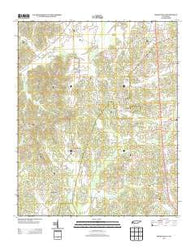Masseyville Tennessee Historical topographic map, 1:24000 scale, 7.5 X 7.5 Minute, Year 2013