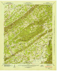 Mount Vernon Tennessee Historical topographic map, 1:24000 scale, 7.5 X 7.5 Minute, Year 1946