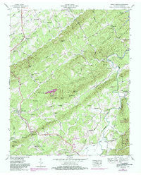 Mount Vernon Tennessee Historical topographic map, 1:24000 scale, 7.5 X 7.5 Minute, Year 1946