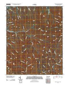 Mount Guyot Tennessee Historical topographic map, 1:24000 scale, 7.5 X 7.5 Minute, Year 2010