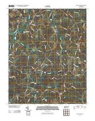 Mount Peter Tennessee Historical topographic map, 1:24000 scale, 7.5 X 7.5 Minute, Year 2010