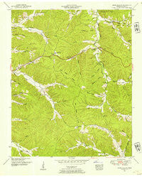 Negro Hollow Tennessee Historical topographic map, 1:24000 scale, 7.5 X 7.5 Minute, Year 1951