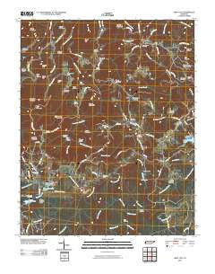 Obey City Tennessee Historical topographic map, 1:24000 scale, 7.5 X 7.5 Minute, Year 2010