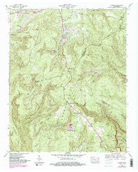 Palmer Tennessee Historical topographic map, 1:24000 scale, 7.5 X 7.5 Minute, Year 1947