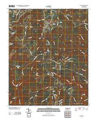 Palmer Tennessee Historical topographic map, 1:24000 scale, 7.5 X 7.5 Minute, Year 2010