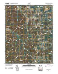Palmer Shelter Tennessee Historical topographic map, 1:24000 scale, 7.5 X 7.5 Minute, Year 2010