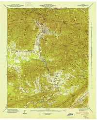 Petros Tennessee Historical topographic map, 1:24000 scale, 7.5 X 7.5 Minute, Year 1946
