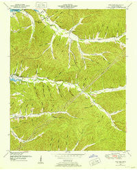 Pine View Tennessee Historical topographic map, 1:24000 scale, 7.5 X 7.5 Minute, Year 1949