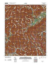 Pioneer Tennessee Historical topographic map, 1:24000 scale, 7.5 X 7.5 Minute, Year 2010