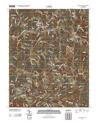 Pleasant Hill Tennessee Historical topographic map, 1:24000 scale, 7.5 X 7.5 Minute, Year 2010