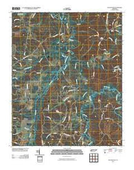 Pocahontas Tennessee Historical topographic map, 1:24000 scale, 7.5 X 7.5 Minute, Year 2010