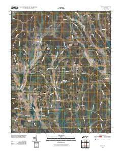 Sardis Tennessee Historical topographic map, 1:24000 scale, 7.5 X 7.5 Minute, Year 2010