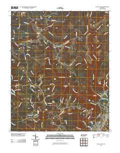 Savage Point Tennessee Historical topographic map, 1:24000 scale, 7.5 X 7.5 Minute, Year 2010