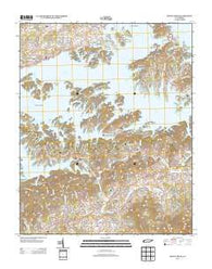 Shady Grove Tennessee Historical topographic map, 1:24000 scale, 7.5 X 7.5 Minute, Year 2013