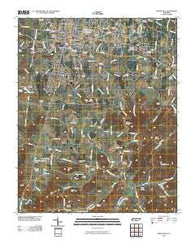 Shelbyville Tennessee Historical topographic map, 1:24000 scale, 7.5 X 7.5 Minute, Year 2010