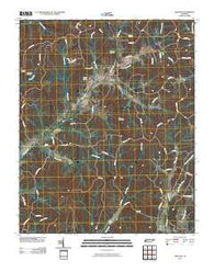 Silerton Tennessee Historical topographic map, 1:24000 scale, 7.5 X 7.5 Minute, Year 2010