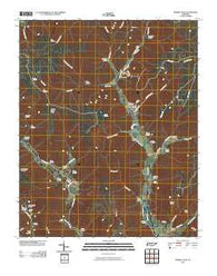 Sinking Cove Tennessee Historical topographic map, 1:24000 scale, 7.5 X 7.5 Minute, Year 2010