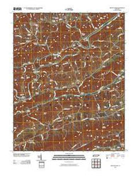Swan Island Tennessee Historical topographic map, 1:24000 scale, 7.5 X 7.5 Minute, Year 2010