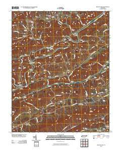 Swan Island Tennessee Historical topographic map, 1:24000 scale, 7.5 X 7.5 Minute, Year 2010