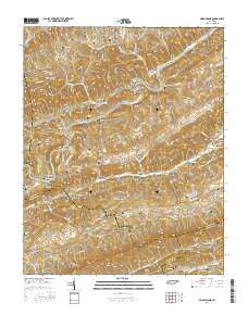 Swan Island Tennessee Current topographic map, 1:24000 scale, 7.5 X 7.5 Minute, Year 2016