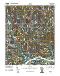 Thurman Tennessee Historical topographic map, 1:24000 scale, 7.5 X 7.5 Minute, Year 2010