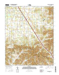 Webbs Jungle Tennessee Current topographic map, 1:24000 scale, 7.5 X 7.5 Minute, Year 2016