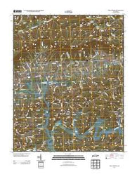 Well Spring Tennessee Historical topographic map, 1:24000 scale, 7.5 X 7.5 Minute, Year 2013