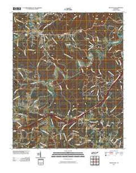 White Bluff Tennessee Historical topographic map, 1:24000 scale, 7.5 X 7.5 Minute, Year 2010