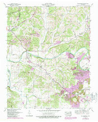 Williamsport Tennessee Historical topographic map, 1:24000 scale, 7.5 X 7.5 Minute, Year 1951