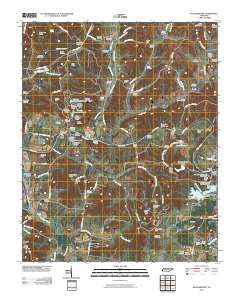 Williamsport Tennessee Historical topographic map, 1:24000 scale, 7.5 X 7.5 Minute, Year 2010