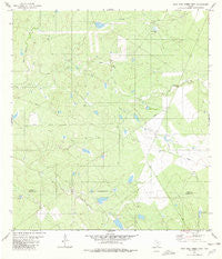 Agua Azul Creek West Texas Historical topographic map, 1:24000 scale, 7.5 X 7.5 Minute, Year 1980