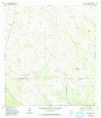 Agua Nueva SE Texas Historical topographic map, 1:24000 scale, 7.5 X 7.5 Minute, Year 1972