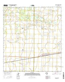 Agua Dulce Texas Current topographic map, 1:24000 scale, 7.5 X 7.5 Minute, Year 2016