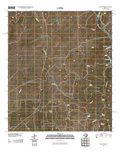Allen Creek Texas Historical topographic map, 1:24000 scale, 7.5 X 7.5 Minute, Year 2010