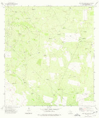 Alta Vista Ranch SW Texas Historical topographic map, 1:24000 scale, 7.5 X 7.5 Minute, Year 1972