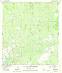 Arroyo Burro Texas Historical topographic map, 1:24000 scale, 7.5 X 7.5 Minute, Year 1980